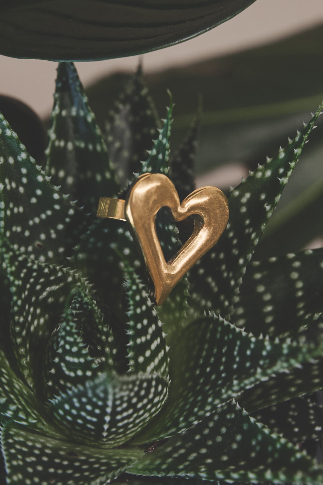 Statement Ring Hart Casual
