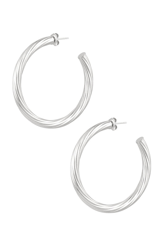 Stainless Steel oorbellen gedraaide streeep zilverkleur
