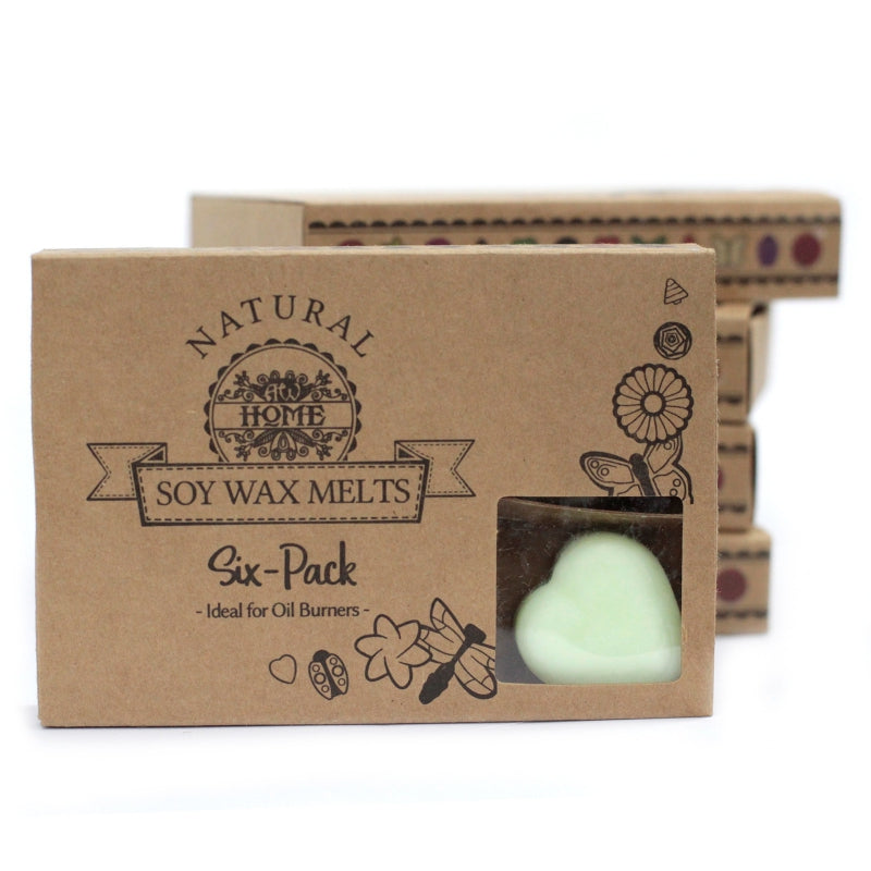 Soja waxmelts -Kruidige Appel - 6 stuks