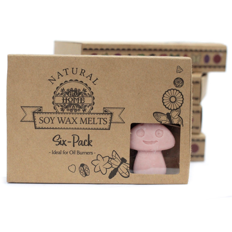 Soja waxmelts - Koffie - 6 stuks