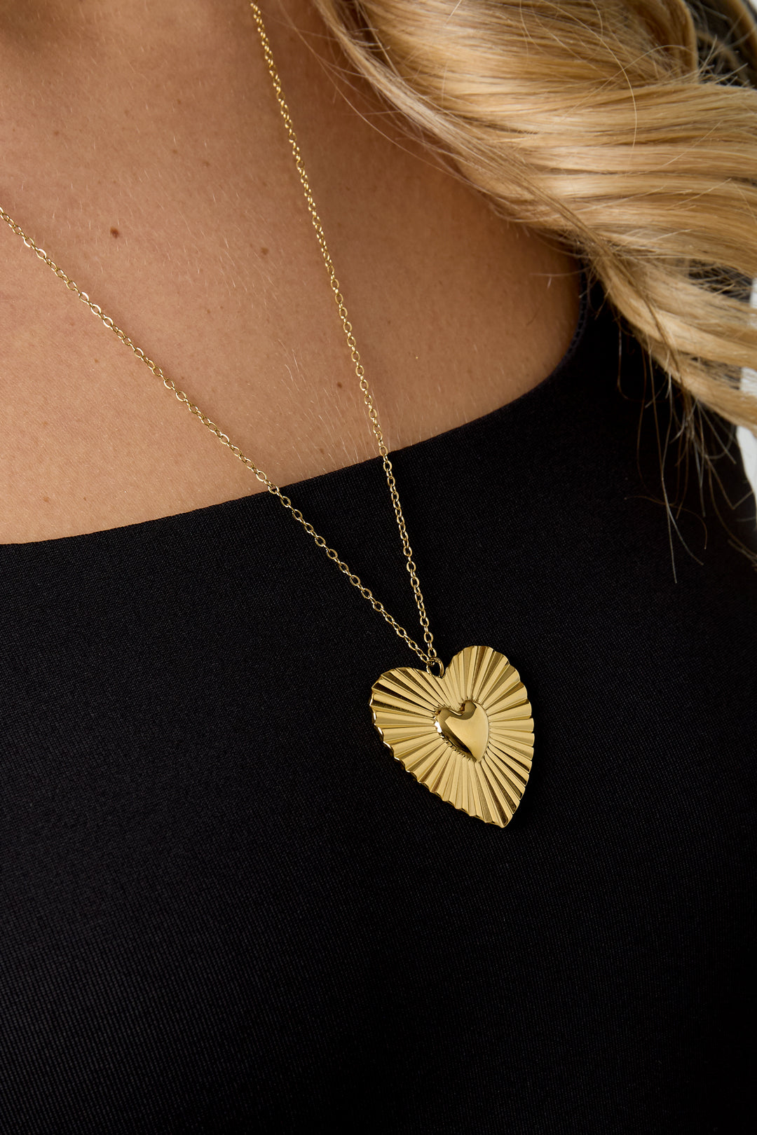 Stainless Steel hangerketting Hart