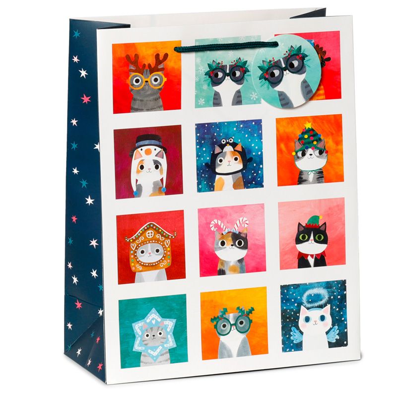 Planeet Kat - Cadeautasje L