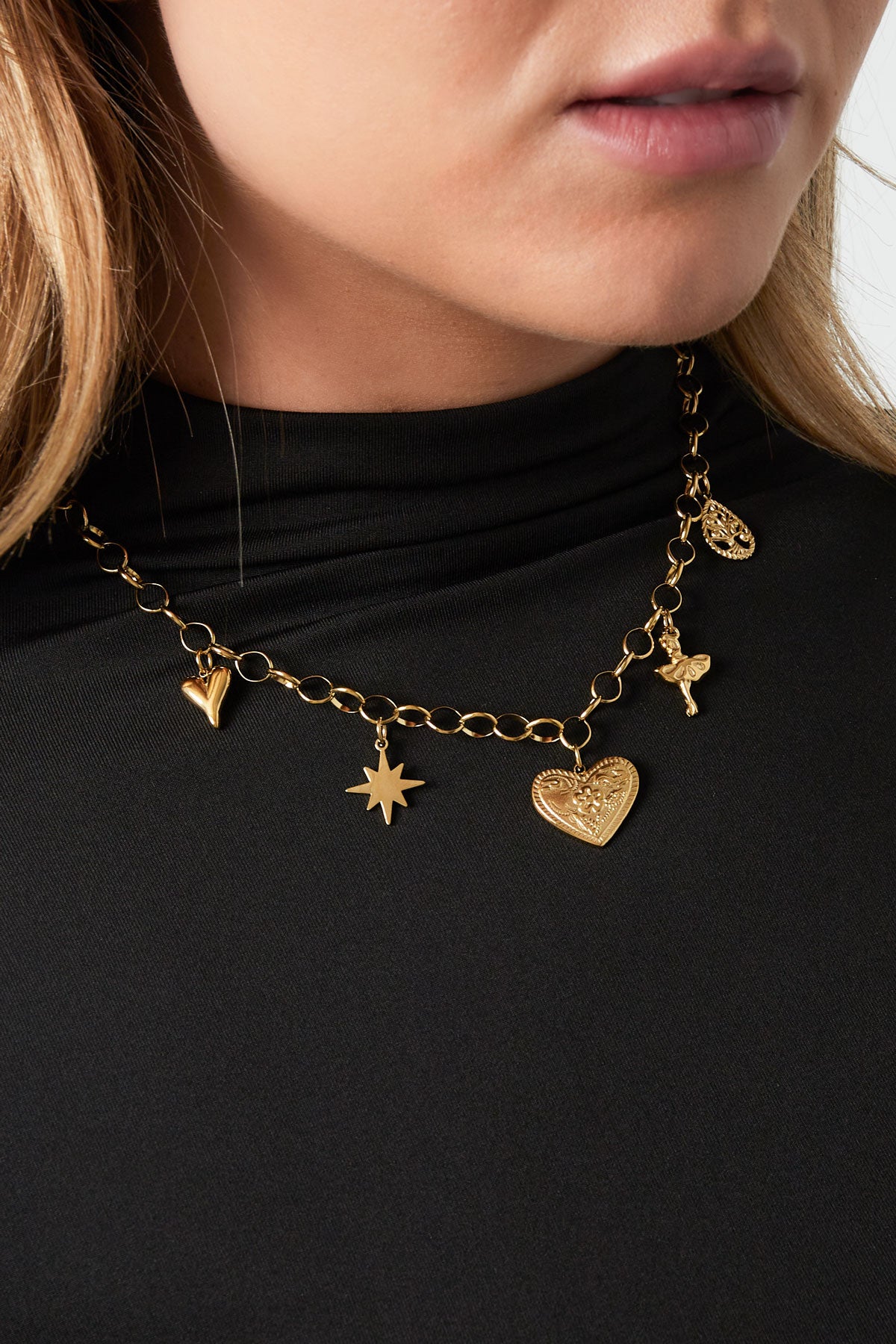 Stainless Steel heartfelt sparkle ketting