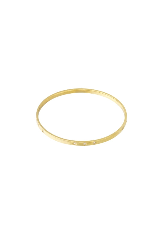 Stainless Steel glinsterende Slavenarmband goudkleur