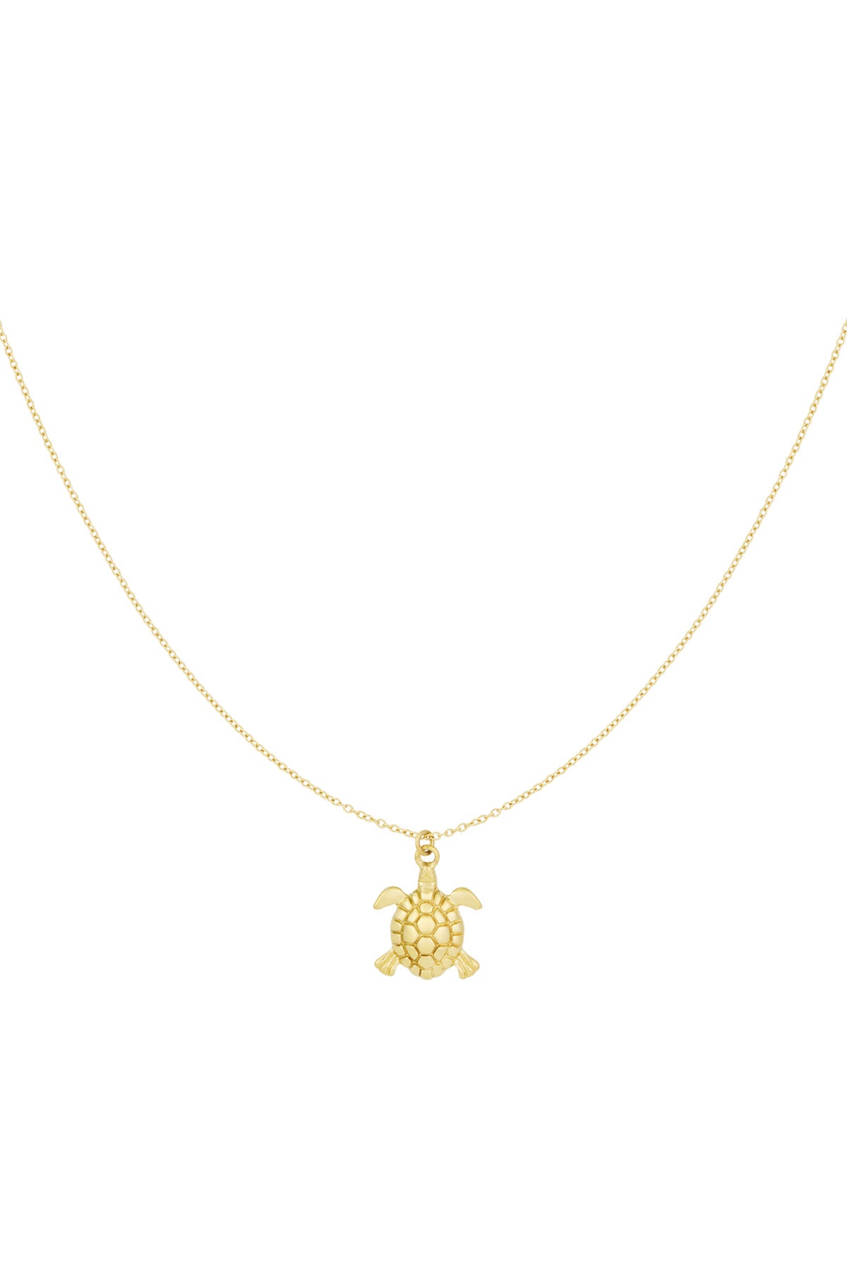 turtle tides ketting