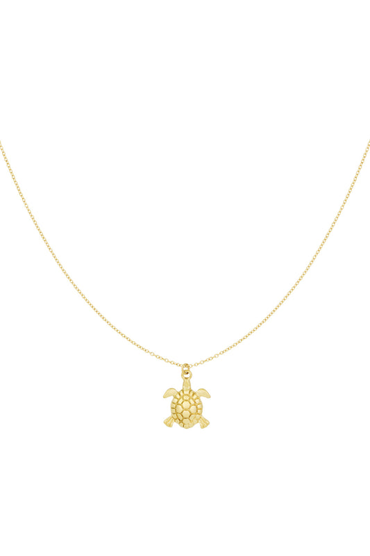turtle tides ketting