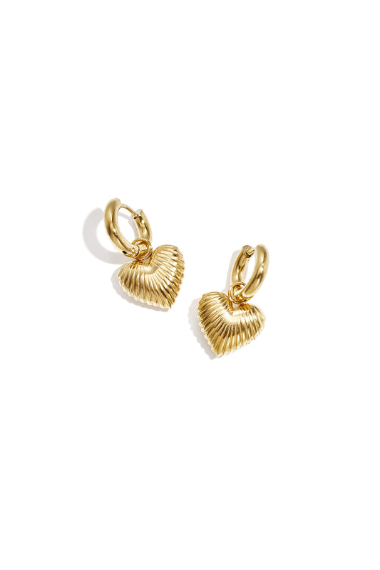 Stainless Steel Oorringen met stralend hart