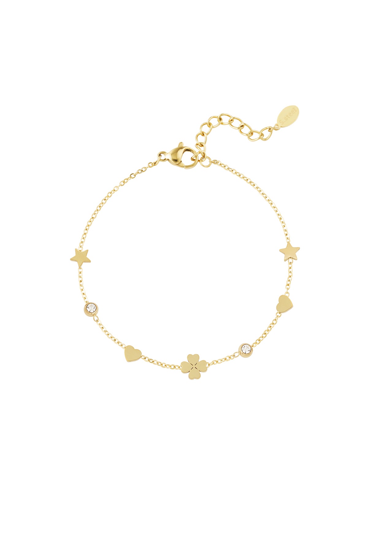 Stainless Steel gleaming wish armband
