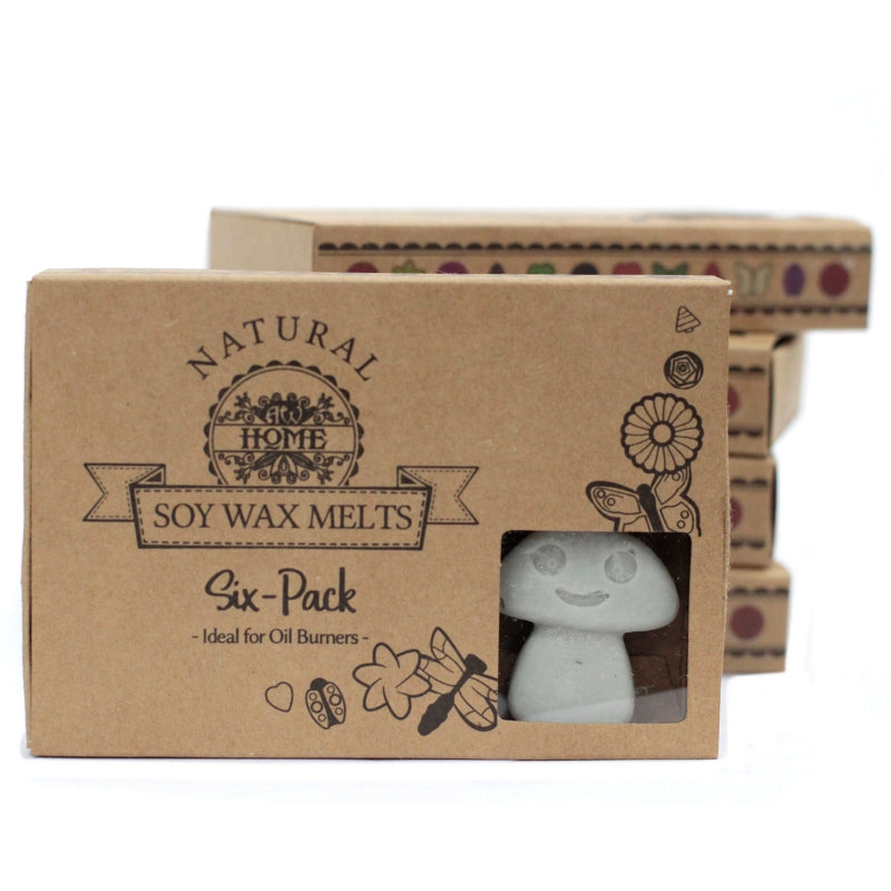 Sojawas Melts - Donkere Patchouli