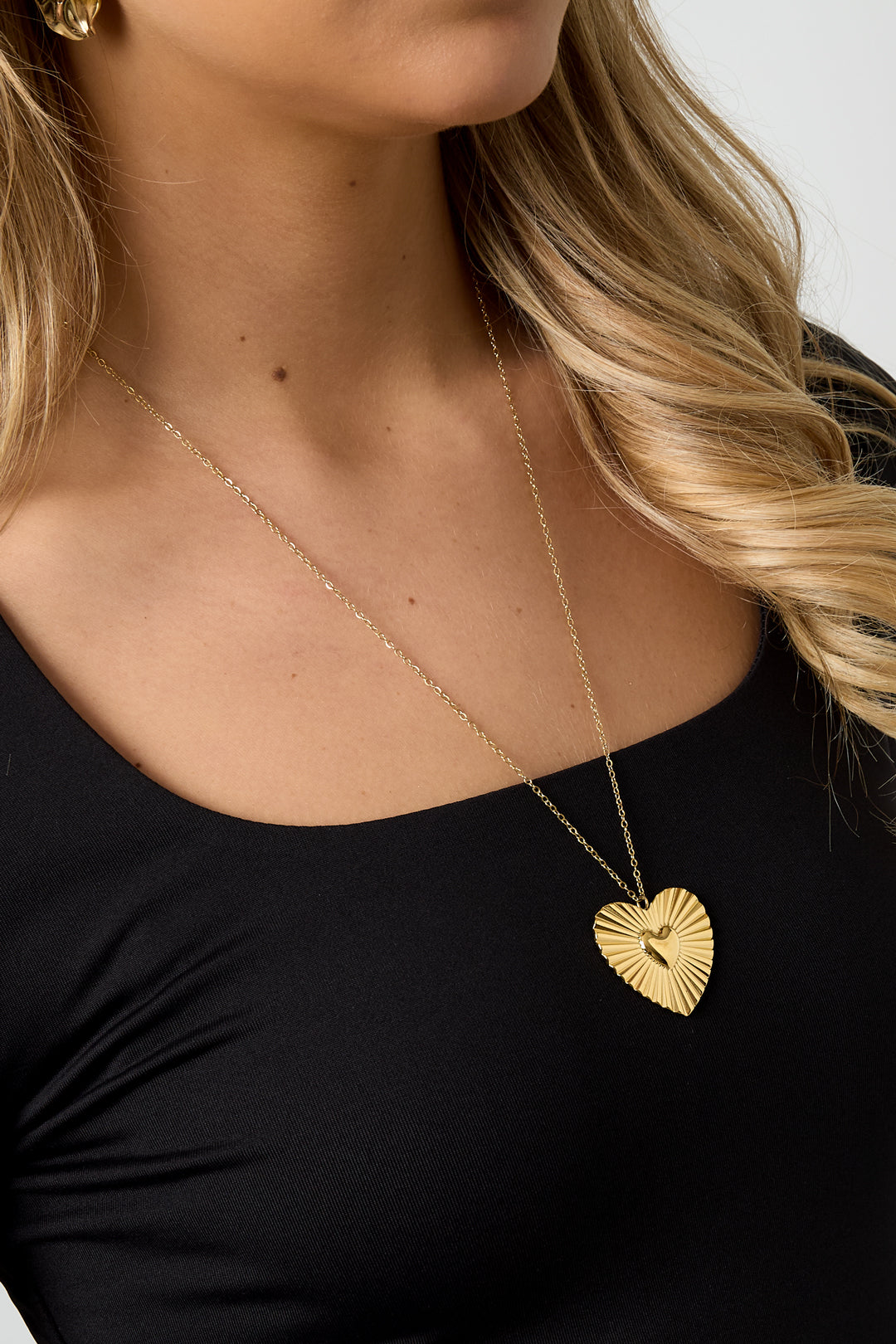 Stainless Steel hangerketting Hart