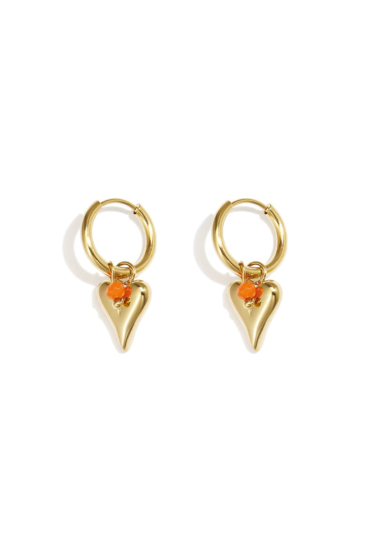 Stainless Steel vivid heart oorbellen