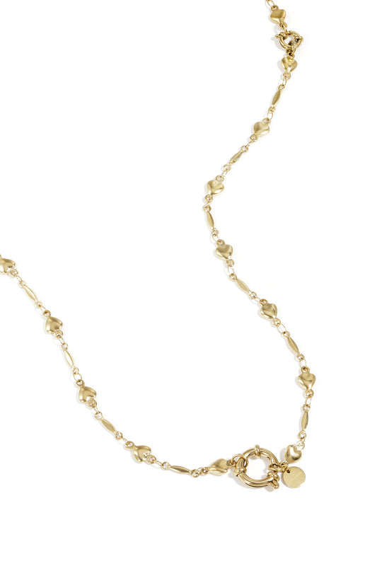 Stainless Steel Ketting met schakels en hartjes afneembaar en verstelbaar