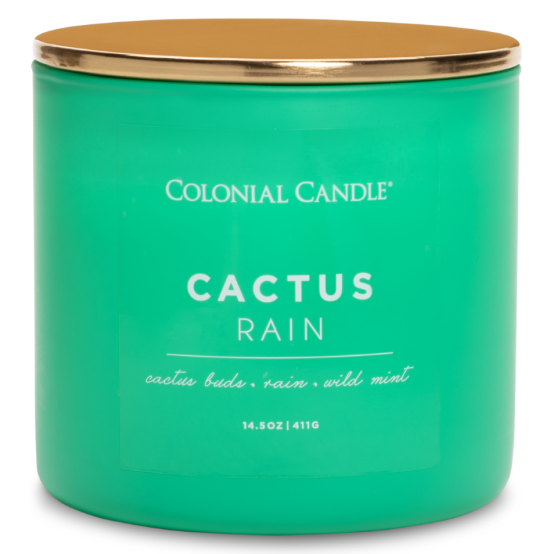 POC - Cactus Rain