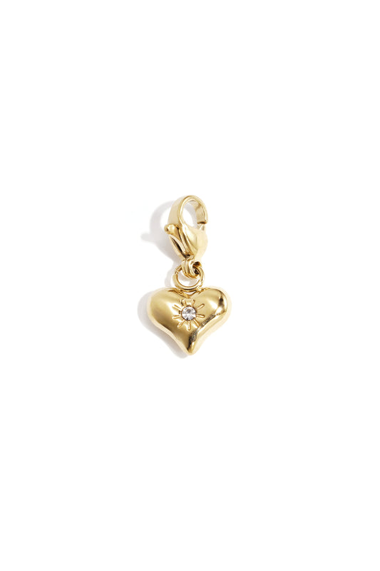Stainless Steel Sieraden bedel Hart 