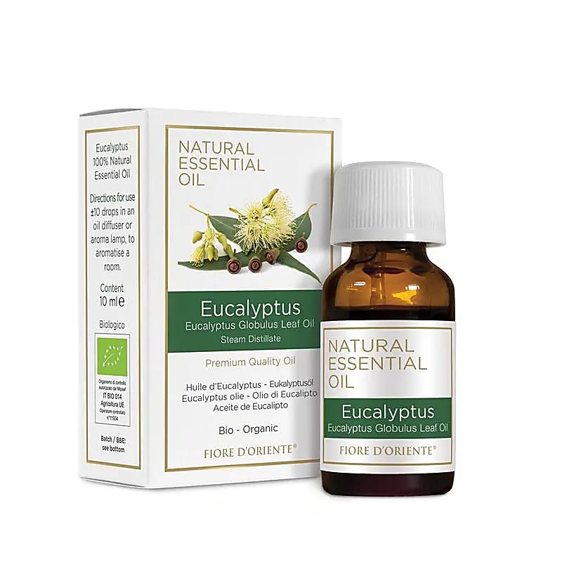 Etherische olie eucalyptus BIO 10 ml