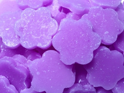 Parma Violet Little Hottie 5 stuks