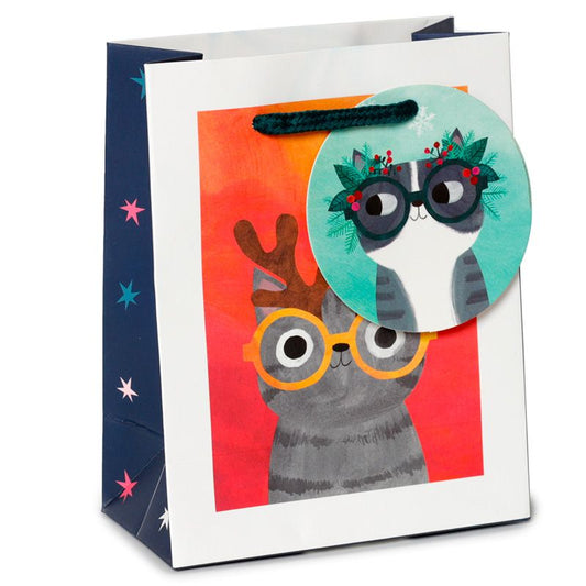 Planeet Kat - Cadeautasje S