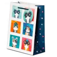Planeet Kat - Cadeautasje M