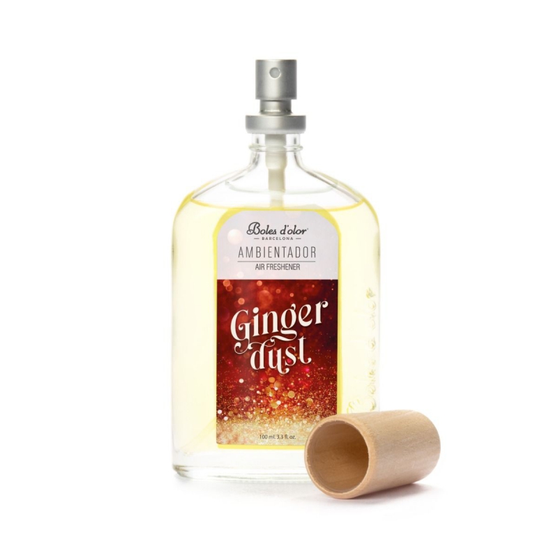 Roomspray - Ginger Dust - 100 ml