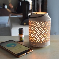 Diffuser Venetië smart 120ml