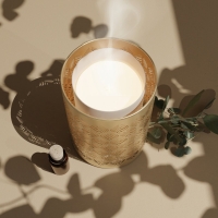 Ultrasone diffuser - Vienne met afstandsbediening