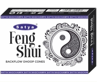 Feng Shui backflow wierook kegels