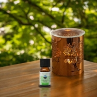 Geurbrander Metally - Levensboom